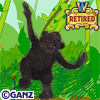 blackgorilla.jpg